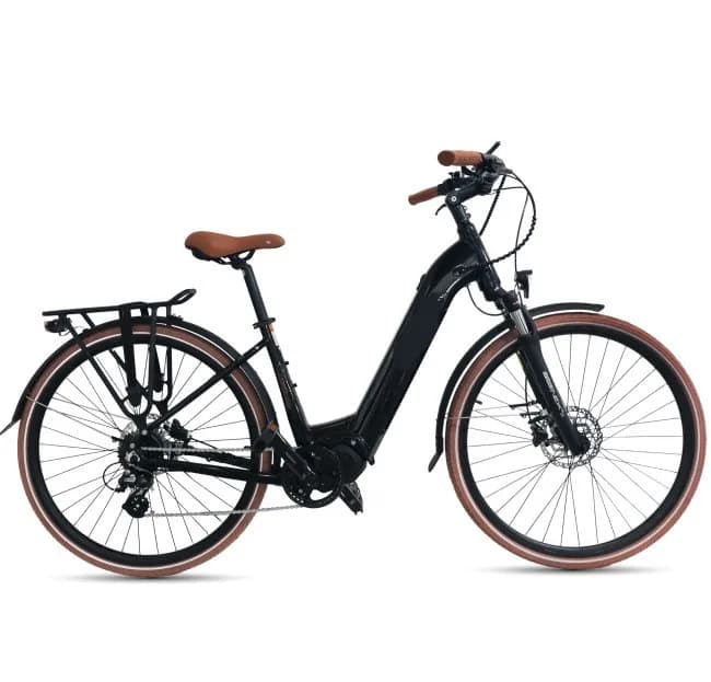 Consumer E-bike (Brand new!)